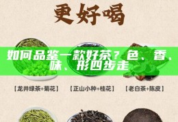 如何品鉴一款好茶？色、香、味、形四步走