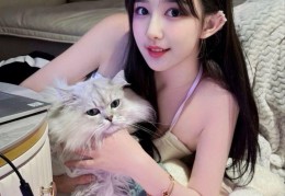 顶级茶叶鉴赏，武汉高端品茶指南