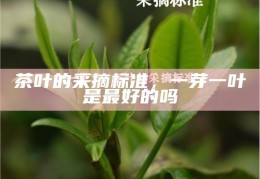茶叶的采摘标准，一芽一叶是最好的吗