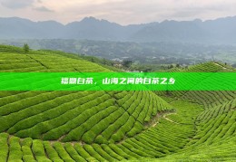 福鼎白茶，山海之间的白茶之乡